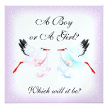 Storks and Babies Baby Gender Reveal Party Invit Custom Invites