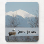 Storks - Bulgaria 2 mousepads