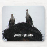 Storks - Bulgaria mousepads