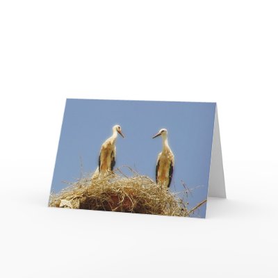 Storks Cards by helentr