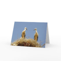 Storks cards by helentr Storks cards
