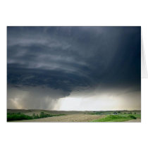 Storm 6 cards by GreetingsCards Storm 6 cards