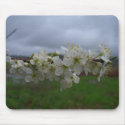 Storm Blossoms Mousepad by wingedturtle Storm Blossoms Mousepad