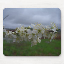 Storm Blossoms Mousepad by wingedturtle Storm Blossoms Mousepad