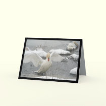 Storm Brave cards by MoiraAshleigh Storm Brave cards