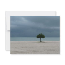 Storm Brewing invitations by catchthenextwave Storm Brewing invitations