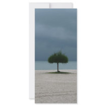 Storm Brewing rack cards by catchthenextwave Storm Brewing rack cards