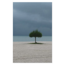 Storm Brewing stationery