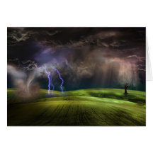 Storm Cards