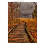 Storm is coming  Card cards