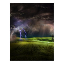 Storm Post Cards