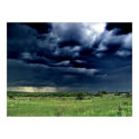 Storm posters