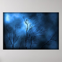 Storm Posters