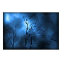 Storm posters by vladstudio Storm posters
