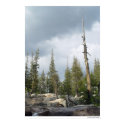 Storm Spire posters
