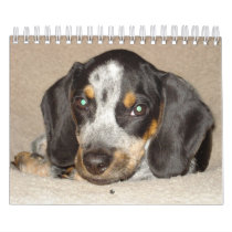 Stormi 2012 wall calendars