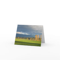 StormLit Meadow cards