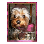 Storms of Life Postcard