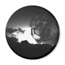 storms roar magnets by dawnmcininch storms roar magnets