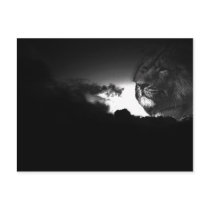 storms roar postcards