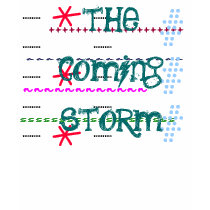 storms t-shirts