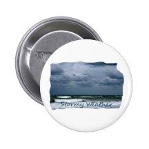 Stormy Beach with Seagulls Image Text Button