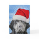 Stormy Christmas cards