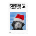 Stormy Christmas postage