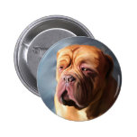 Stormy Dogue - Dogue de Bordeaux Art Pins
