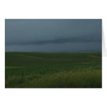 Stormy field cards