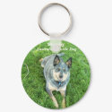 Stormy keychains by codfishlady Stormy keychains