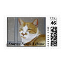 "Stormy Needs A Home" postage stamp by RozSmith "Stormy Needs A Home" postage stamp