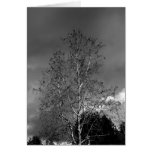 Stormy Skies Greeting Card