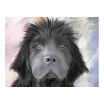 Stormy the Newfoundland posters by Cazzies_Creations Stormy the Newfoundland posters