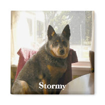 Stormy Waits... magnets