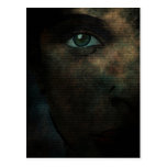 Story Post Cards