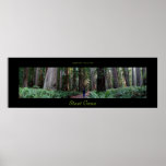 Stout Grove Redwood Trees posters
