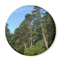 Stow Lake In San Franciscos Golden Gate Park magnets