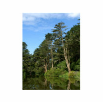 Stow Lake In San Franciscos Golden Gate Park photo sculptures by lifesphere Stow Lake In San Franciscos Golden Gate Park photo sculptures