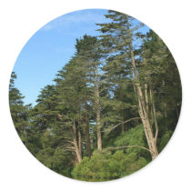 Stow Lake In San Franciscos Golden Gate Park stickers by lifesphere Stow Lake In San Franciscos Golden Gate Park stickers