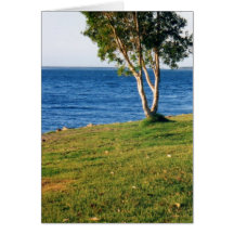 Stradbroke Island Card