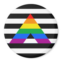 Straight Ally Pride magnets