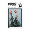 straight and tall postage by corgilover straight and tall postage