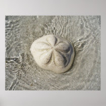 Stranded goods poster