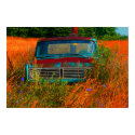Stranded posters