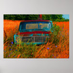 Stranded Print