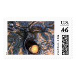 strange, zazzle, google, redinard, arts, t,