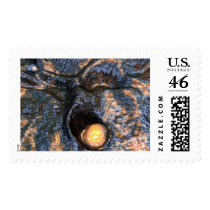 strange postage by REDINARD strange postage