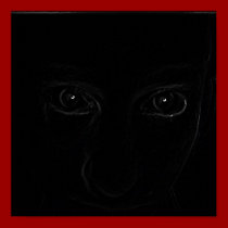 Stranger In The Dark posters