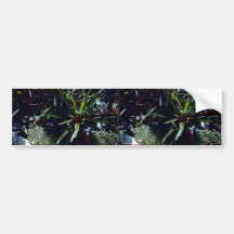 Strap Fern Bumper Sticker